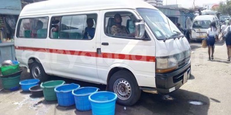 Big with watermark 55853483 436239067183279 4077977791495143424 n