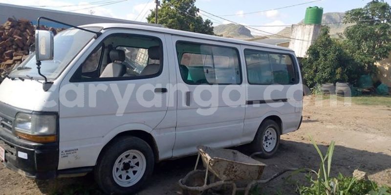 Big with watermark 55935586 435862400554279 1602289398617997312 o