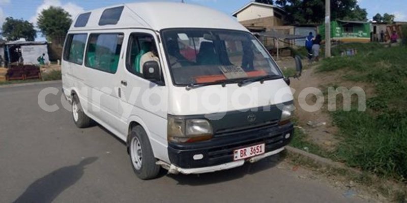 Big with watermark 55698506 435862347220951 2689748592247177216 n