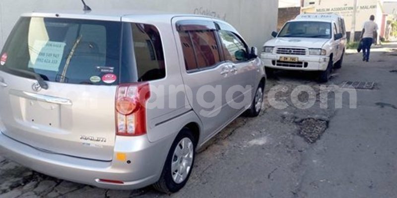 Big with watermark 55557177 435801543893698 5047098627390963712 n