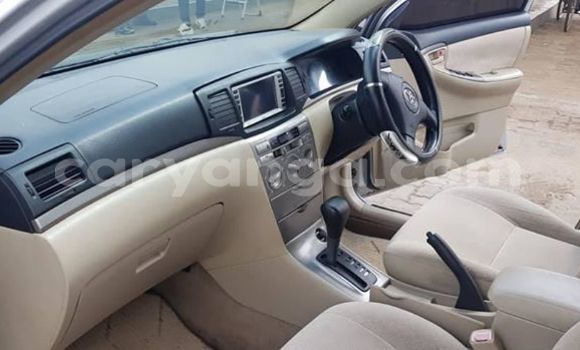 Buy Used Toyota Runx Silver Car in Blantyre in Malawi Buy Used Toyota Runx Silver Car in Blantyre in Malawi