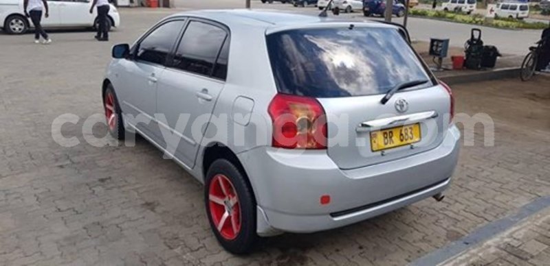 Big with watermark 55560455 435135360626983 3127289941621473280 n