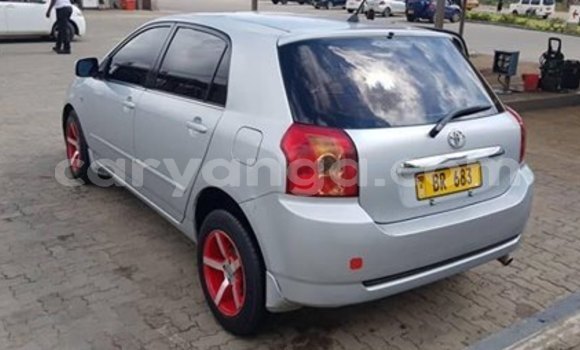 Buy Used Toyota Runx Silver Car in Blantyre in Malawi Buy Used Toyota Runx Silver Car in Blantyre in Malawi