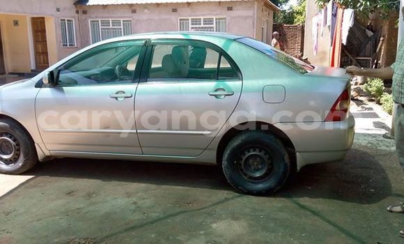 Buy Used Toyota Corolla Beige Car in Blantyre in Malawi Buy Used Toyota Corolla Beige Car in Blantyre in Malawi