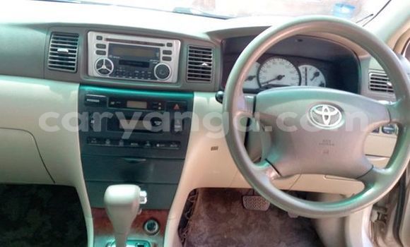 Buy Used Toyota Corolla Beige Car in Blantyre in Malawi Buy Used Toyota Corolla Beige Car in Blantyre in Malawi