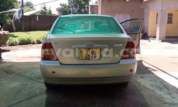 Buy Used Toyota Corolla Beige Car in Blantyre in Malawi Buy Used Toyota Corolla Beige Car in Blantyre in Malawi