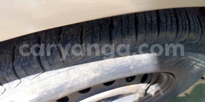 Big with watermark 53646142 434664624007390 2907248532140326912 o