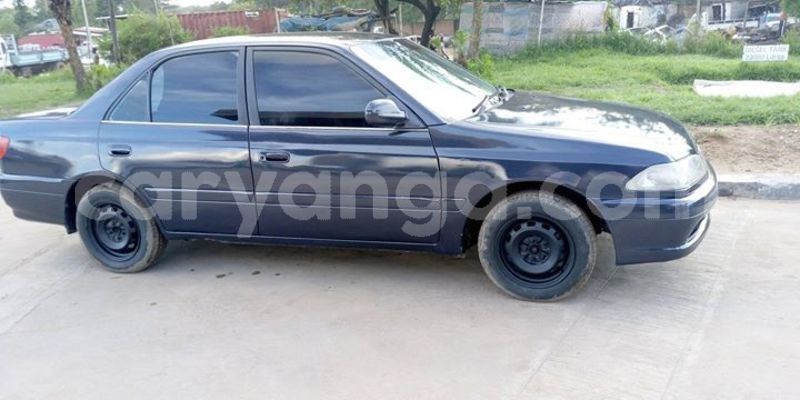 Big with watermark 54381504 433416014132251 6851916590376550400 o