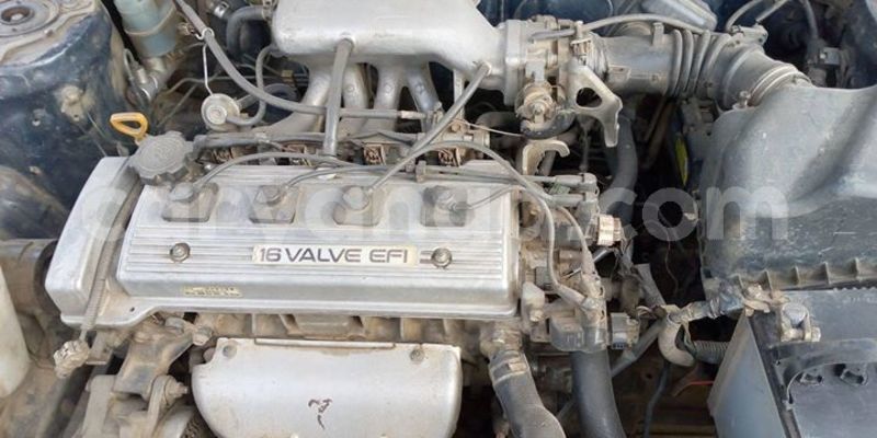 Big with watermark 55487967 433416054132247 8478547321007636480 o