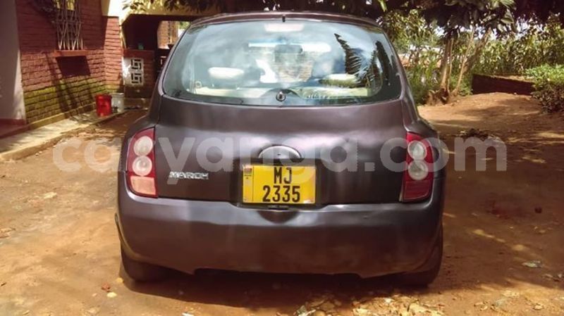 Big with watermark 54393337 432423570898162 8732504605461577728 o