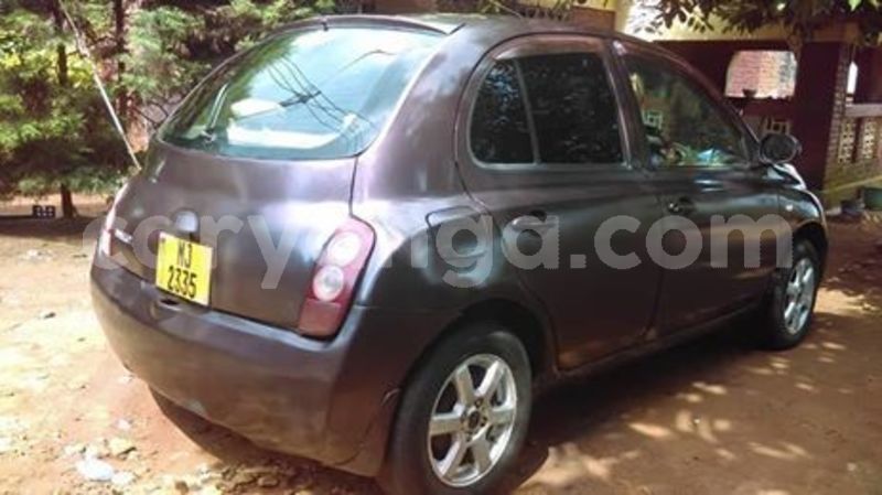 Big with watermark 55450405 432423530898166 2798319872226885632 n