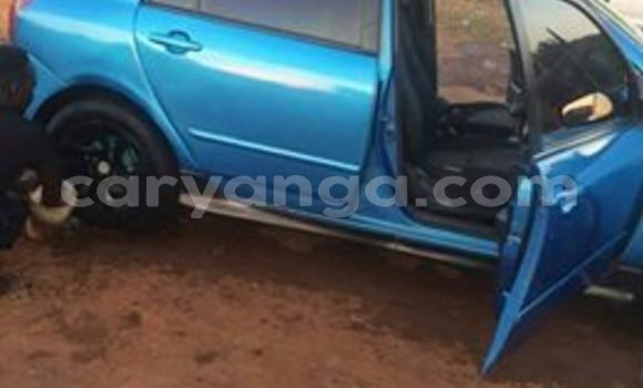 Buy Used Toyota Runx Blue Car in Lilongwe in Malawi Buy Used Toyota Runx Blue Car in Lilongwe in Malawi