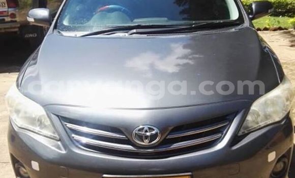 Buy Used Toyota Corolla Other Car in Blantyre in Malawi Buy Used Toyota Corolla Other Car in Blantyre in Malawi