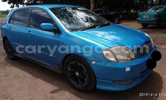 Buy Used Toyota Runx Blue Car in Lilongwe in Malawi Buy Used Toyota Runx Blue Car in Lilongwe in Malawi