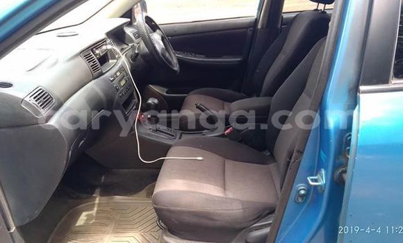 Buy Used Toyota Runx Blue Car in Lilongwe in Malawi Buy Used Toyota Runx Blue Car in Lilongwe in Malawi