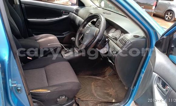 Buy Used Toyota Runx Blue Car in Lilongwe in Malawi Buy Used Toyota Runx Blue Car in Lilongwe in Malawi