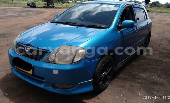 Buy Used Toyota Runx Blue Car in Lilongwe in Malawi Buy Used Toyota Runx Blue Car in Lilongwe in Malawi