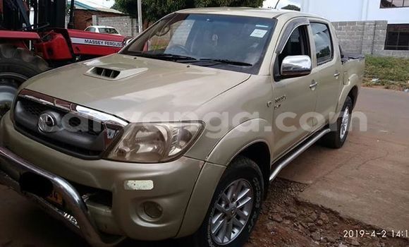 Buy Used Toyota Hilux Beige Car in Lilongwe in Malawi Buy Used Toyota Hilux Beige Car in Lilongwe in Malawi