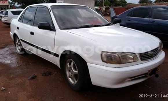 Buy Used Toyota Corolla White Car in Lilongwe in Malawi Buy Used Toyota Corolla White Car in Lilongwe in Malawi
