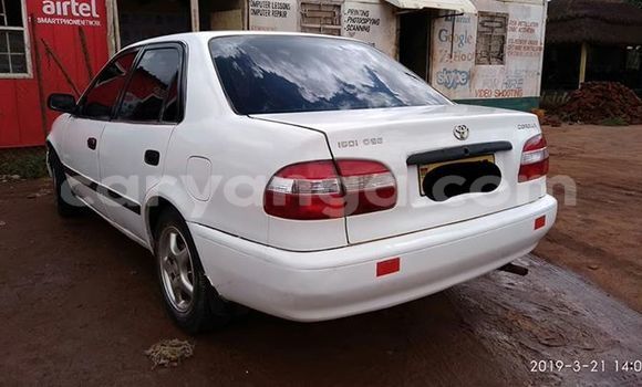 Buy Used Toyota Corolla White Car in Lilongwe in Malawi Buy Used Toyota Corolla White Car in Lilongwe in Malawi