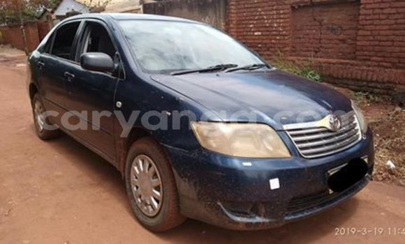 Buy Used Toyota Corolla Blue Car in Lilongwe in Malawi Buy Used Toyota Corolla Blue Car in Lilongwe in Malawi