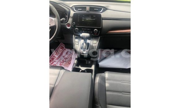 Buy Import Honda C Other Bike in Import - Dubai in Malawi Buy Import Honda C Other Bike in Import - Dubai in Malawi