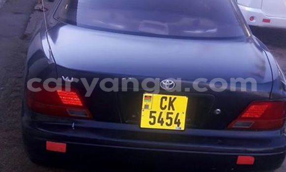 Buy Used Toyota Voltz Black Car in Limbe in Malawi Buy Used Toyota Voltz Black Car in Limbe in Malawi