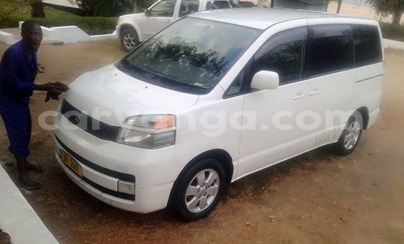 Buy Used Toyota Vios White Car in Limbe in Malawi Buy Used Toyota Vios White Car in Limbe in Malawi