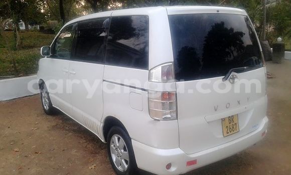 Buy Used Toyota Vios White Car in Limbe in Malawi Buy Used Toyota Vios White Car in Limbe in Malawi