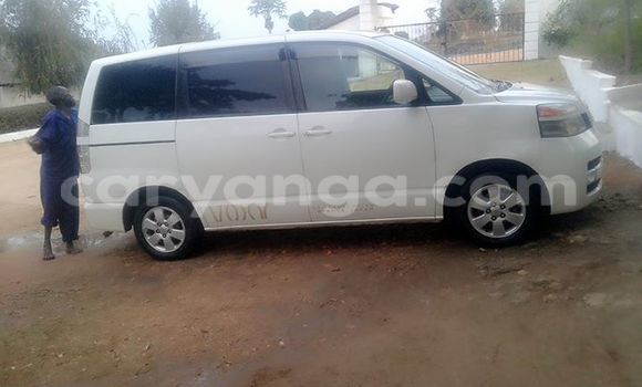 Buy Used Toyota Vios White Car in Limbe in Malawi Buy Used Toyota Vios White Car in Limbe in Malawi