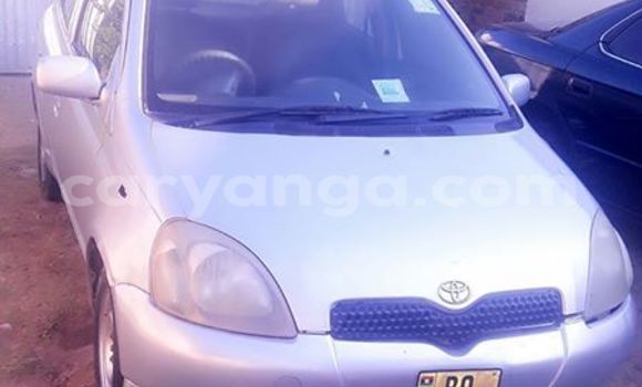 Buy Used Toyota Vitz Silver Car in Limbe in Malawi Buy Used Toyota Vitz Silver Car in Limbe in Malawi