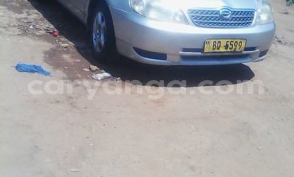 Acheter Occasion Voiture Toyota Corolla Gris à Limbe, Malawi Acheter Occasion Voiture Toyota Corolla Gris à Limbe, Malawi