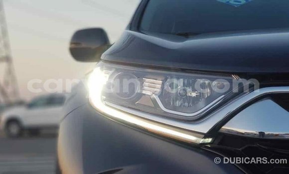 Buy Import Honda C Other Bike in Import - Dubai in Malawi Buy Import Honda C Other Bike in Import - Dubai in Malawi