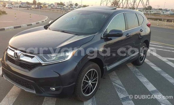 Buy Import Honda C Other Bike in Import - Dubai in Malawi Buy Import Honda C Other Bike in Import - Dubai in Malawi