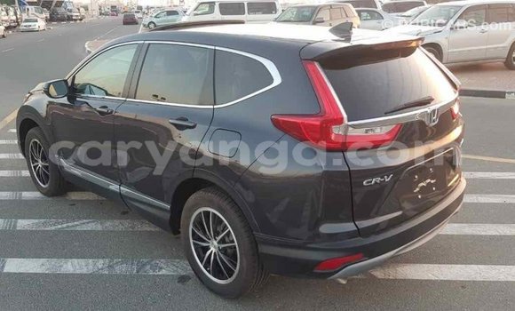 Buy Import Honda C Other Bike in Import - Dubai in Malawi Buy Import Honda C Other Bike in Import - Dubai in Malawi