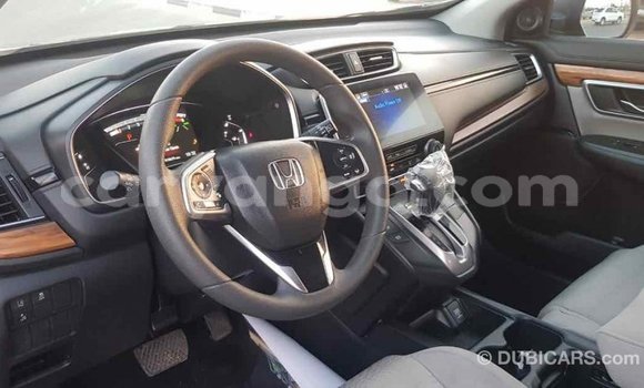 Buy Import Honda C Other Bike in Import - Dubai in Malawi Buy Import Honda C Other Bike in Import - Dubai in Malawi