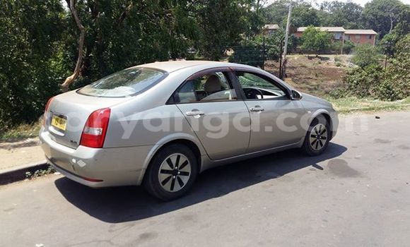 Buy Used Nissan Primera Silver Car in Limbe in Malawi Buy Used Nissan Primera Silver Car in Limbe in Malawi
