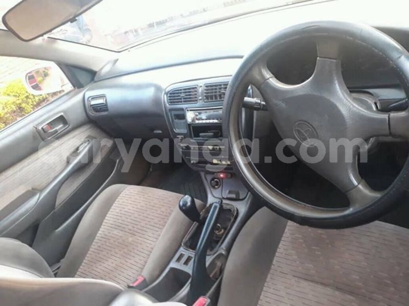 Big with watermark 57419063 1792030297563861 1433397308715696128 o