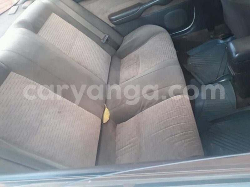 Big with watermark 57306093 1792030197563871 4584269708873695232 o