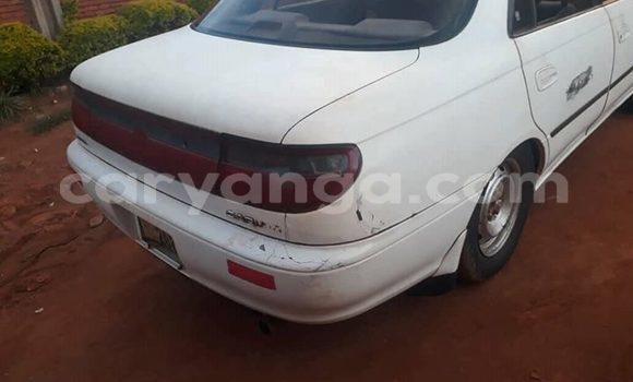 Acheter Occasion Voiture Toyota Carina Blanc à Lilongwe, Malawi Acheter Occasion Voiture Toyota Carina Blanc à Lilongwe, Malawi