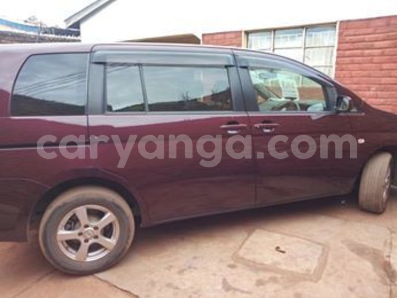 Big with watermark 56757546 2385174478181715 2157160625929715712 n