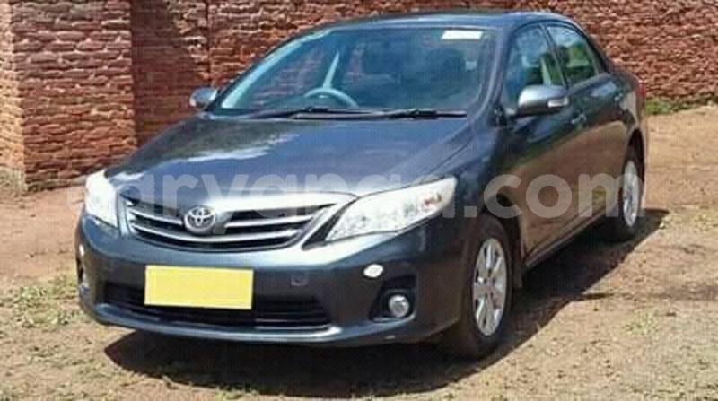 Big with watermark 57374572 2221256041268339 5934247439757213696 n