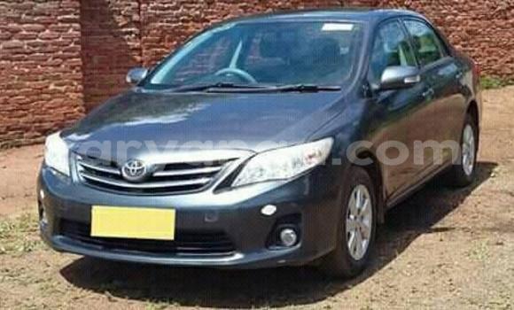 Acheter Occasion Voiture Toyota Corolla Autre à Lilongwe, Malawi Acheter Occasion Voiture Toyota Corolla Autre à Lilongwe, Malawi