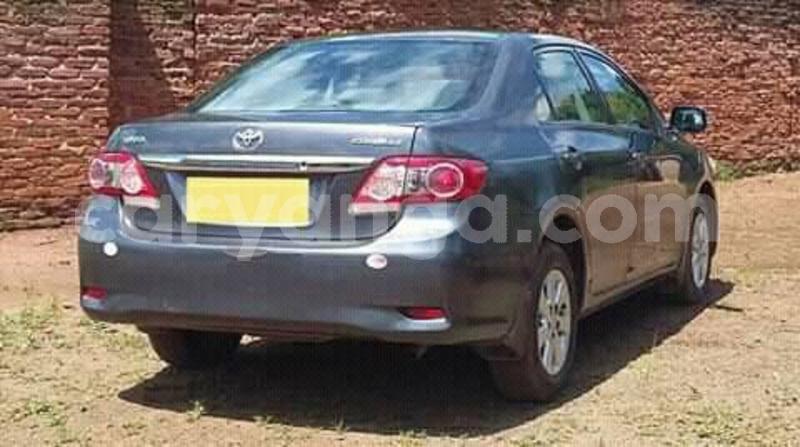 Big with watermark 56904986 2221256057935004 7095141228299157504 n