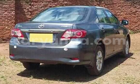 Acheter Occasion Voiture Toyota Corolla Autre à Lilongwe, Malawi Acheter Occasion Voiture Toyota Corolla Autre à Lilongwe, Malawi