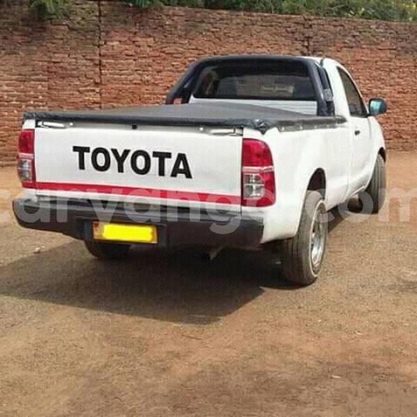 Big with watermark 56956520 2221252931268650 3656681099356012544 n