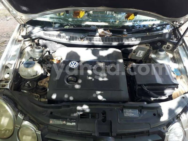 Big with watermark 57451088 2226116684148958 8258902242518630400 o