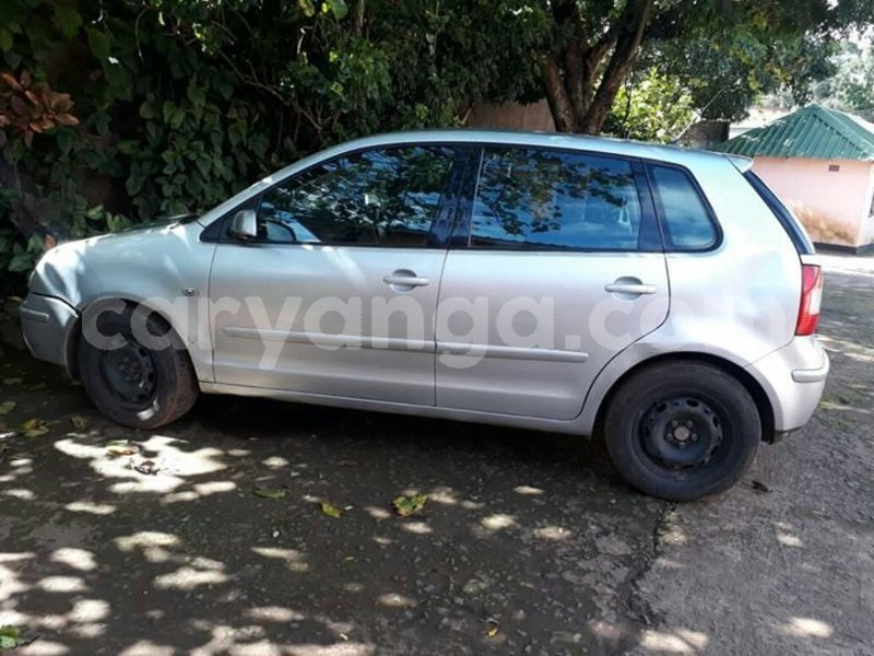 Big with watermark 57313611 2226116587482301 8792139315833470976 o