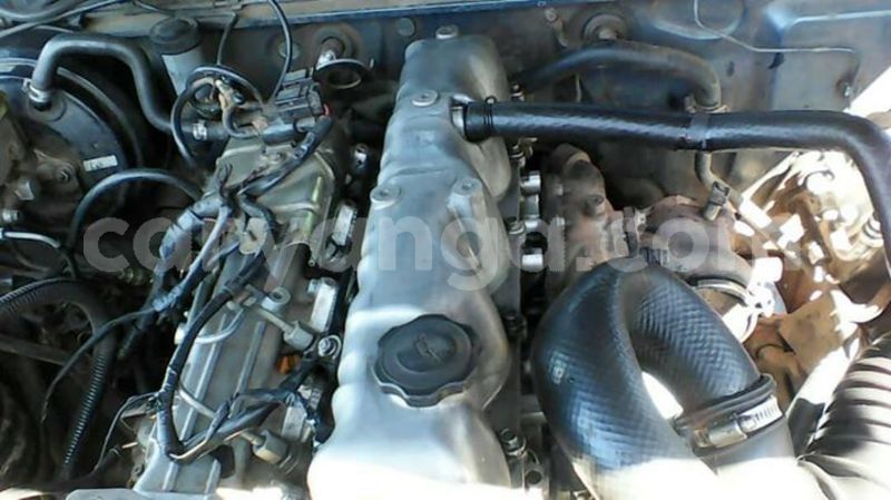 Big with watermark 57164045 2225182327575727 6052513083694252032 o