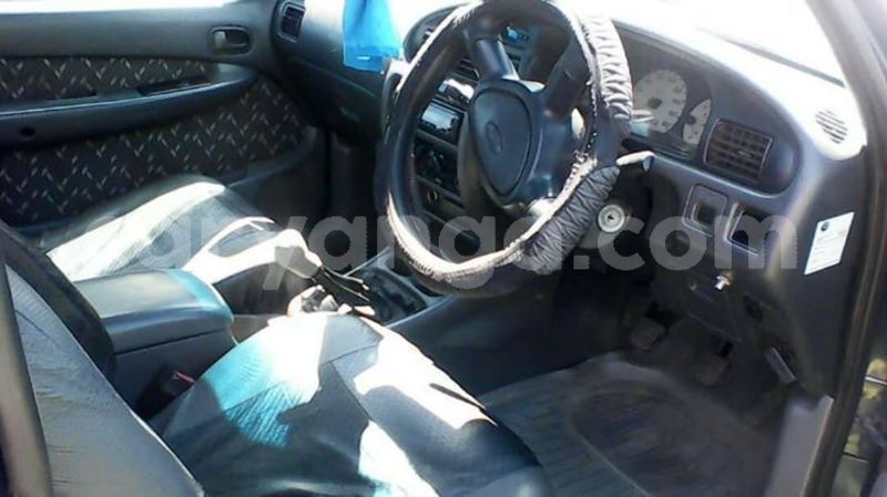 Big with watermark 56935202 2225182067575753 858753125715017728 o